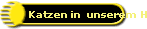 Katzen in  unserem Haus
