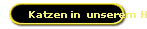 Katzen in  unserem Haus