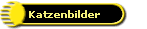 Katzenbilder
