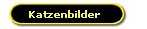 Katzenbilder