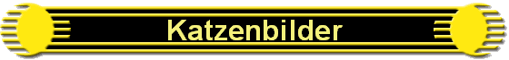 Katzenbilder